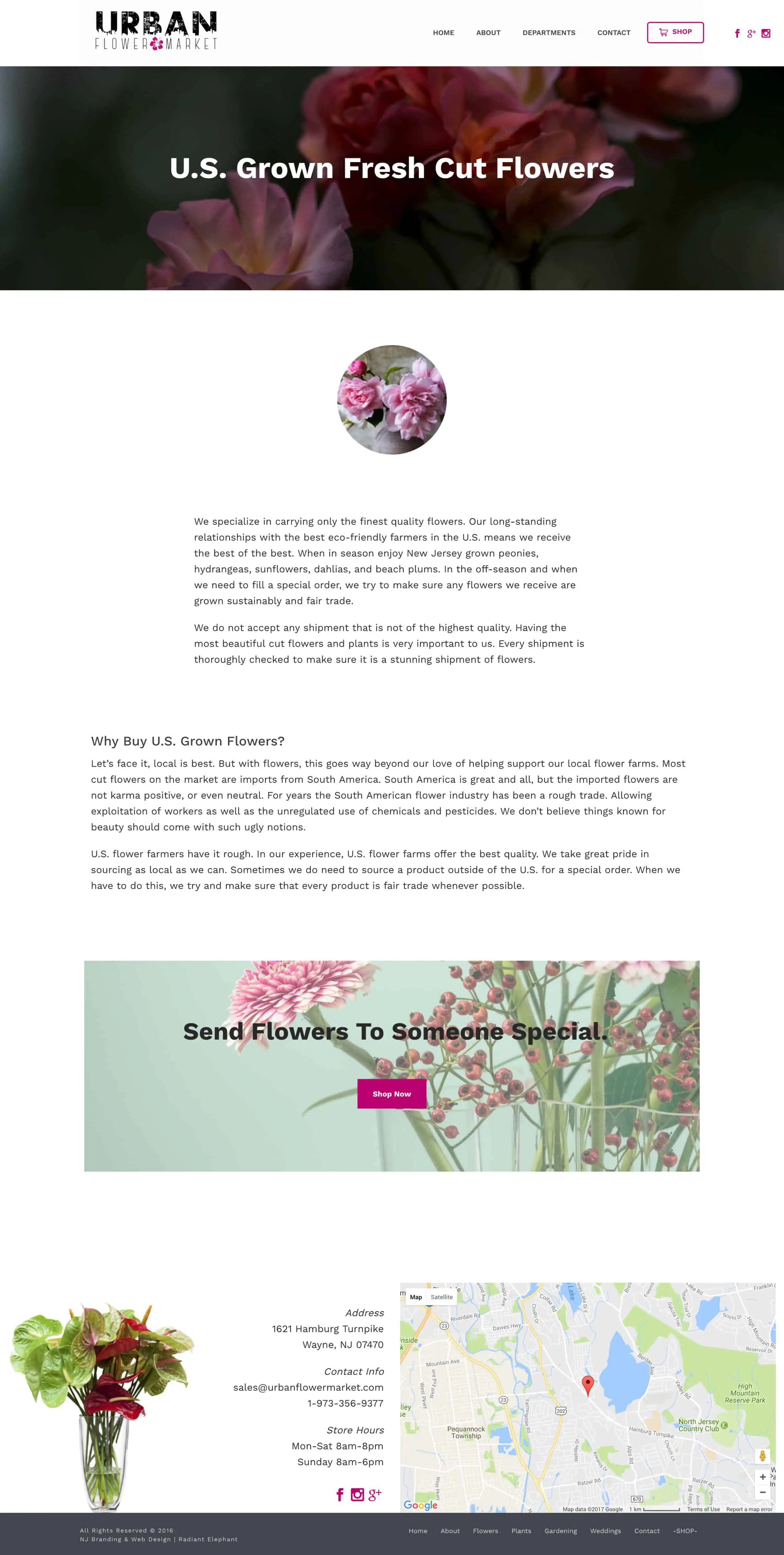 nj-web-design-florist-branding