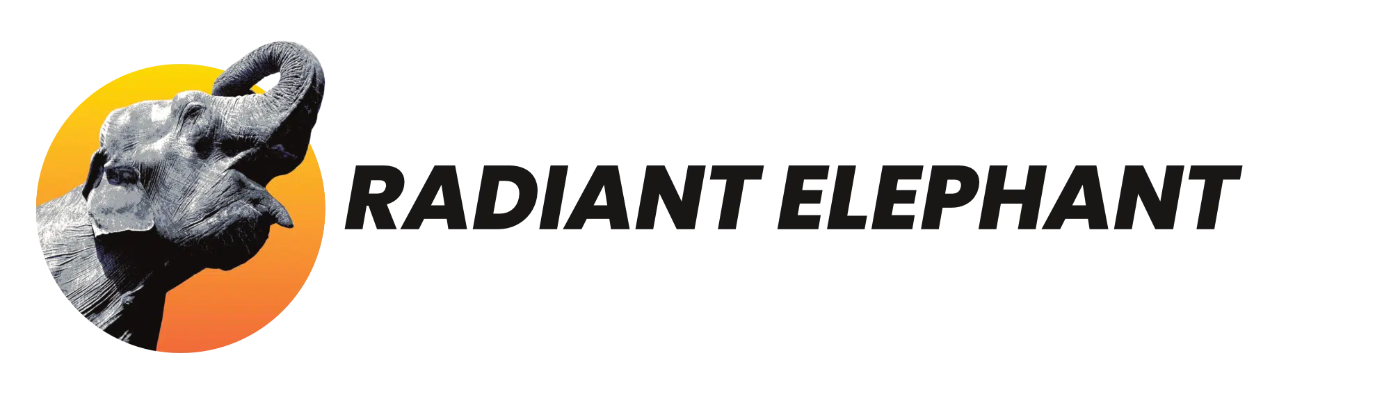 Radiant Elephant Boutique Marketing Agency
