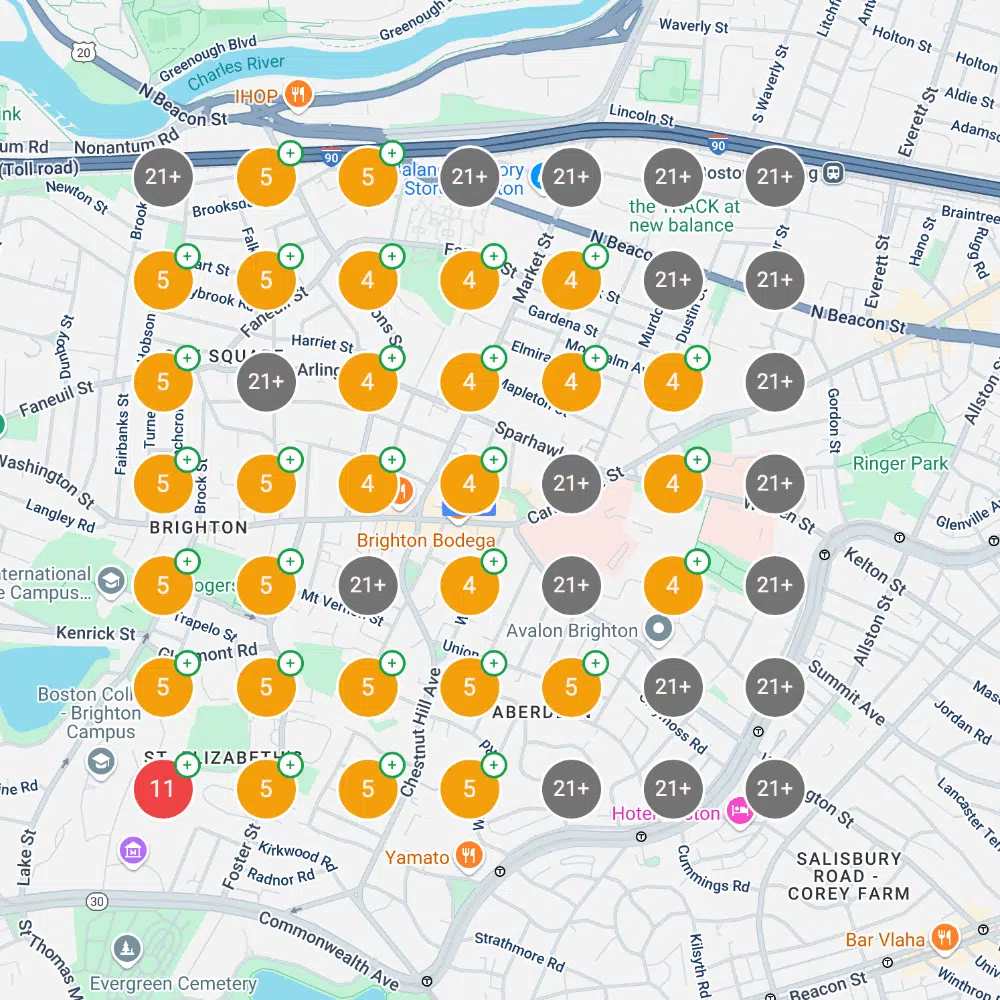 Boston Med Spa GBP ranking grid before