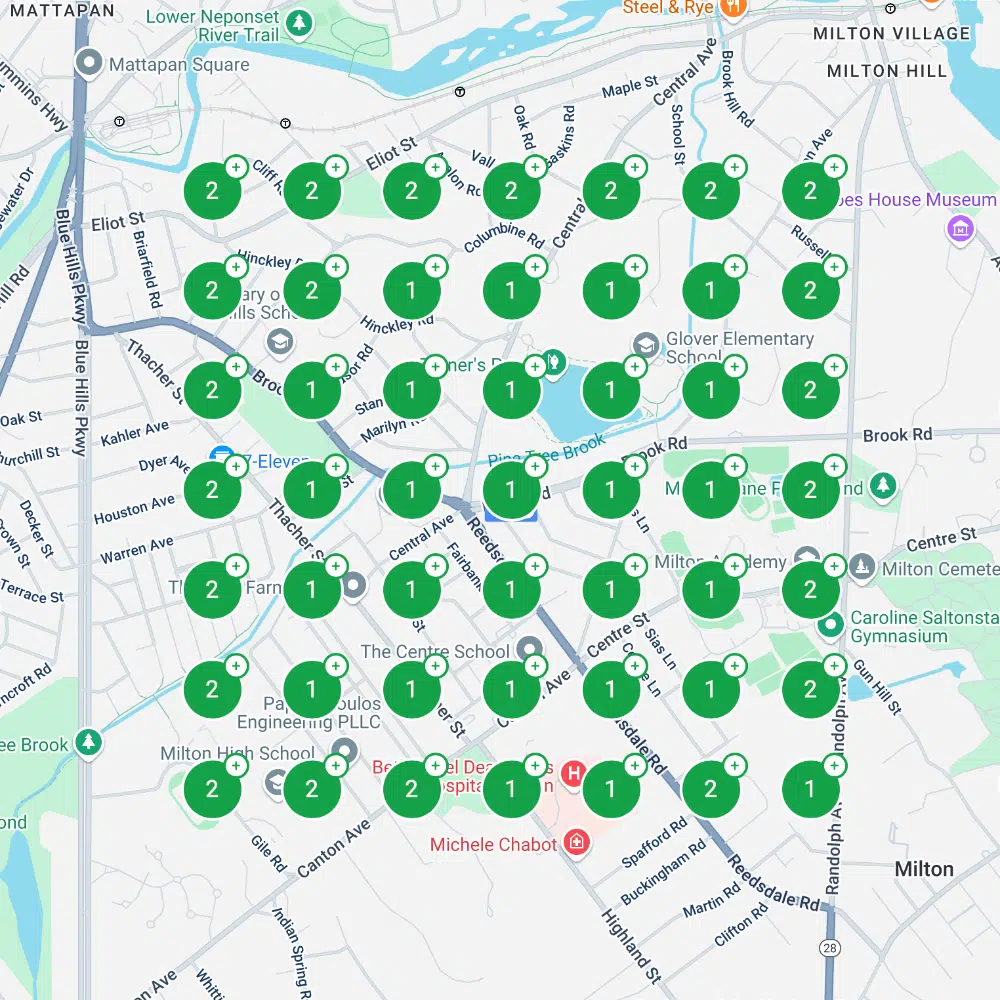 Boston Painting contractor GBP ranking grid after