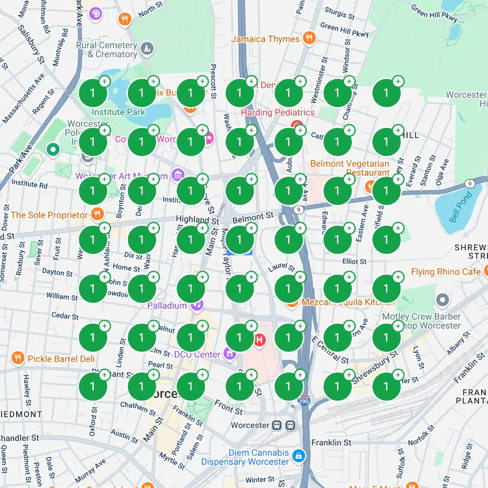 Boston therapy practice GBP ranking grid after