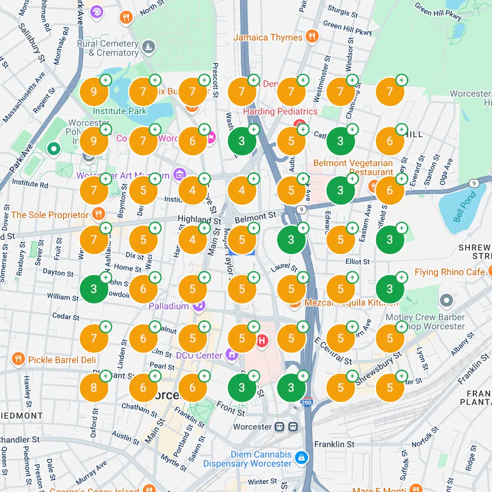 Boston therapy practice GBP ranking grid before